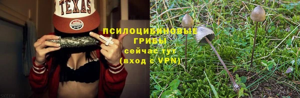 альфа пвп Козловка