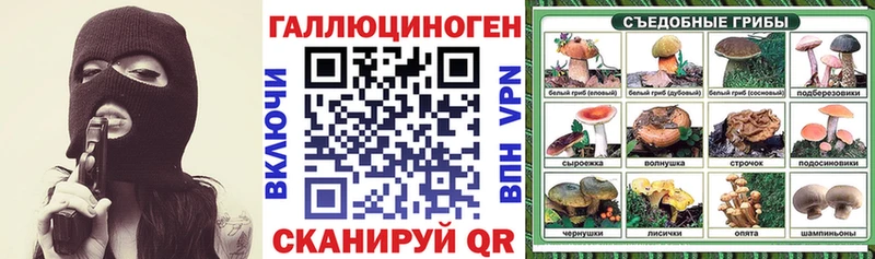 Купить где  Арск  Галлюциногенные грибы GOLDEN TEACHER 